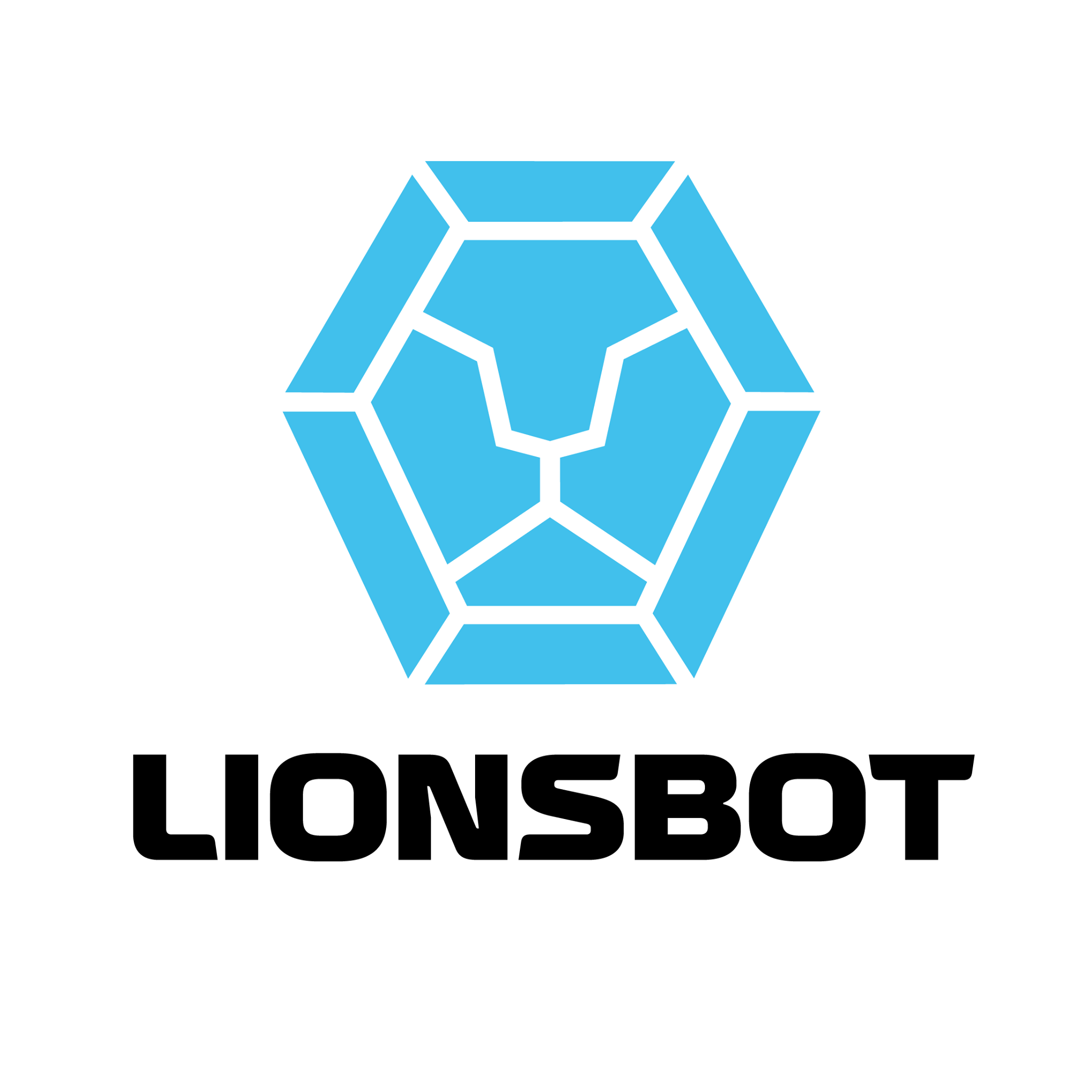 Lionsbot